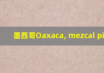 墨西哥Oaxaca, mezcal picaro